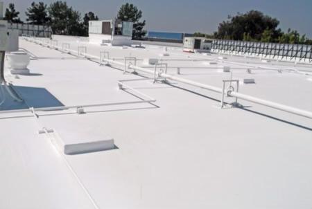 WhatsApp Image 2024-02-06 at 4.47.52 AM